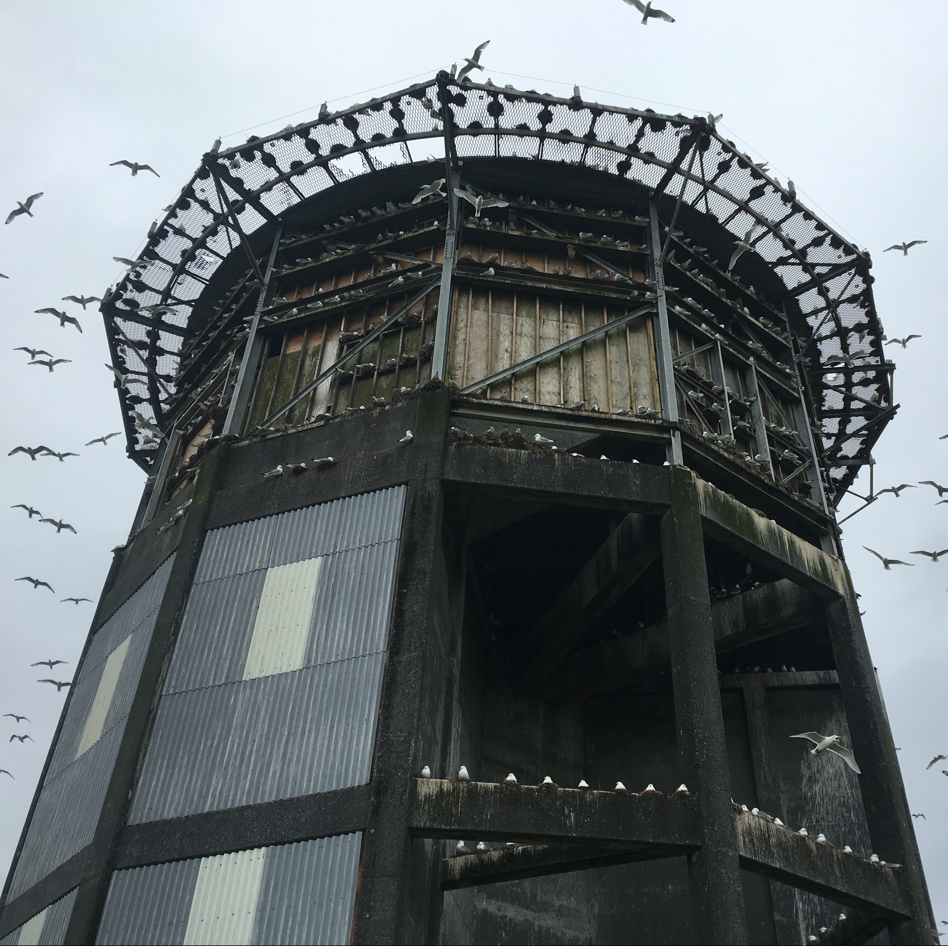 The top half of a loomed, grey, dodecahedral tower fills the frame, with many white dots visible all over it (each a nesting kittiwake). Horizontal beams on the upper third of the tower  and a metal grid roof that extends over the edge of the structure both hosts many nests. 